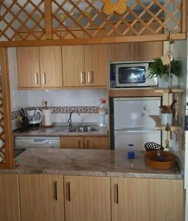 41 Puerto Del Carmen Concha